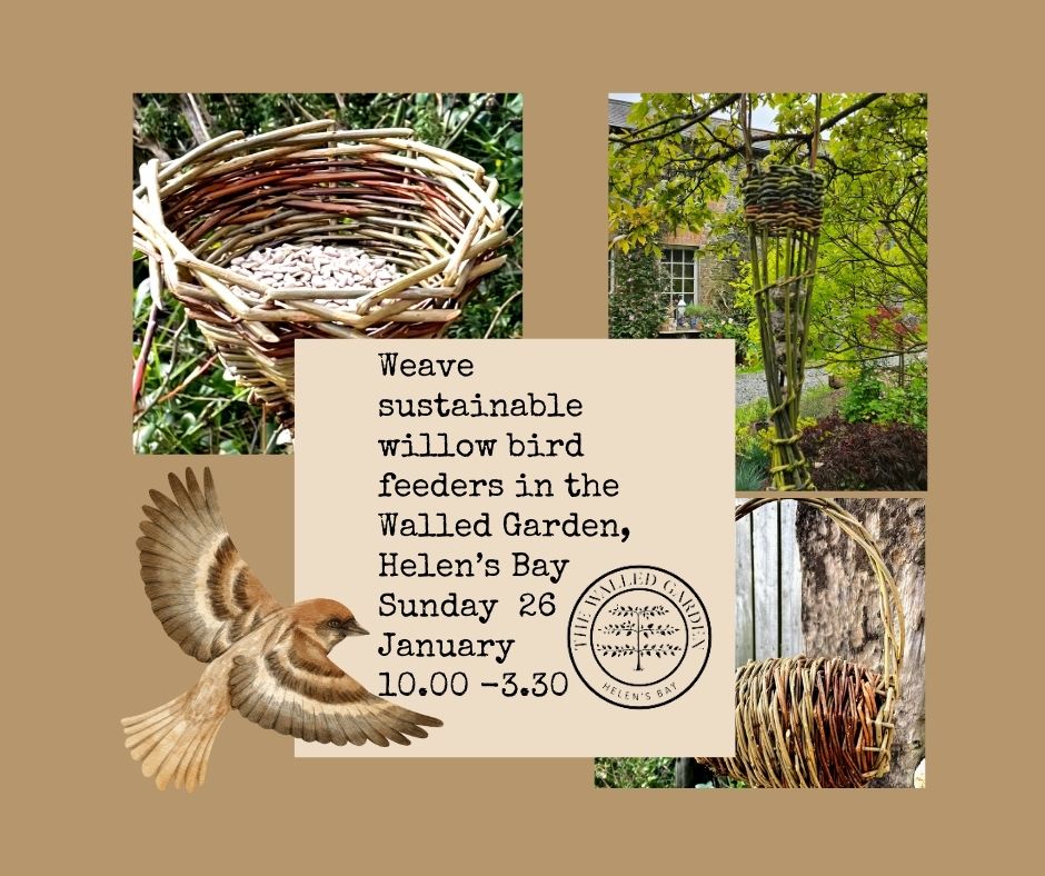 Weave Sustainable Willow Birdfeeders in the Walled Garden